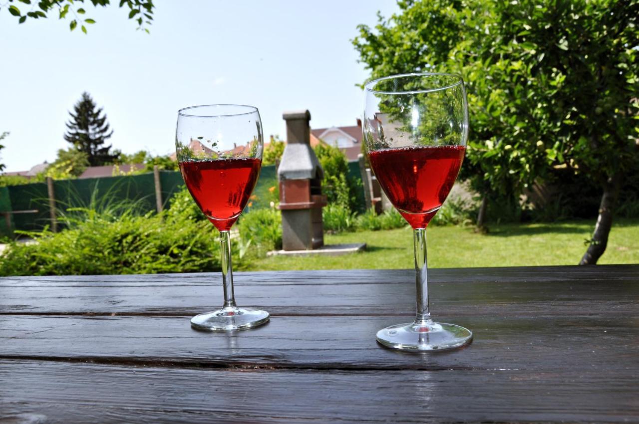 Apartmany Forro Rybarska Veľký Meder 외부 사진